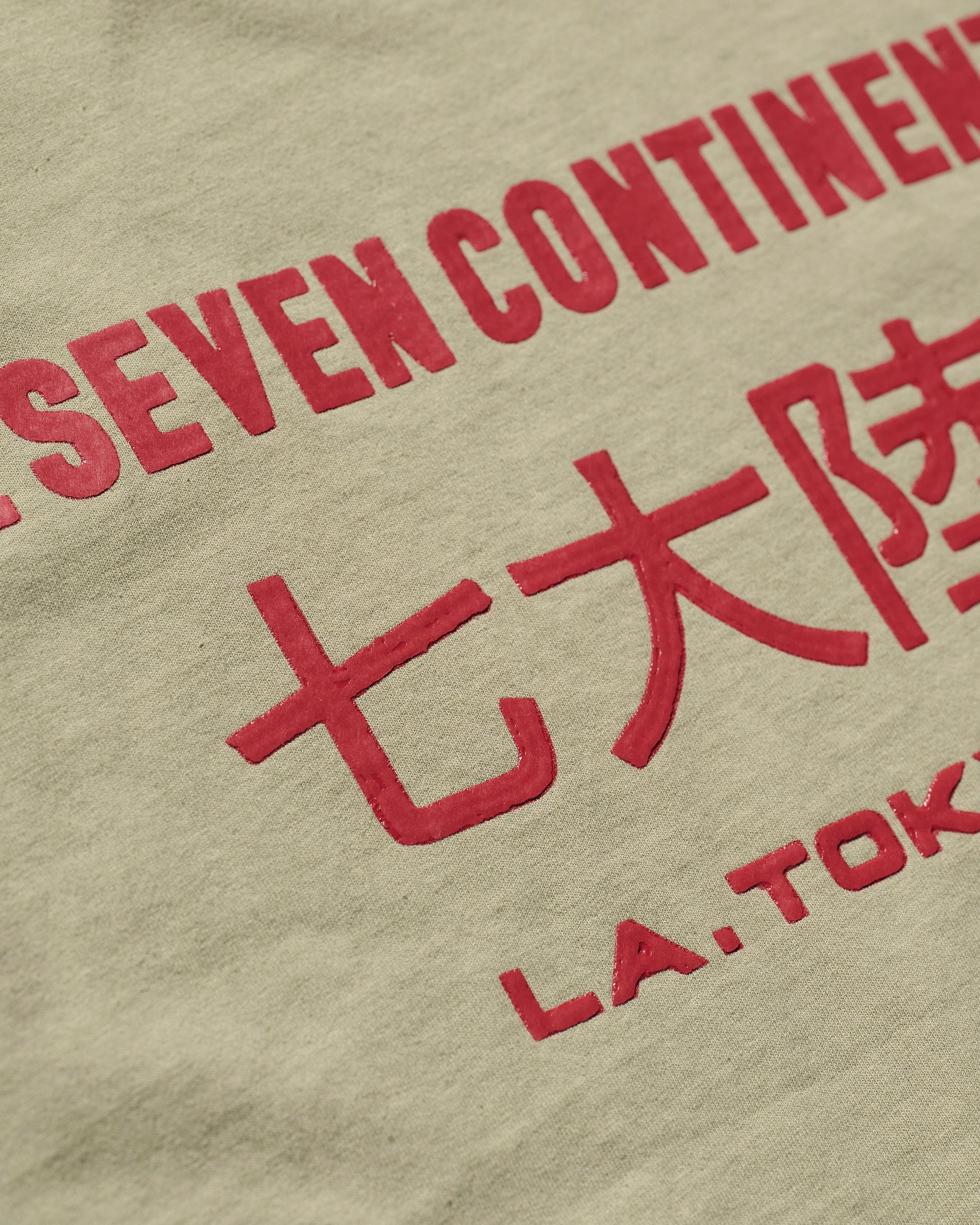 The Timo Tee in Taupe by T7C The Seven Continents features a gently washed beige fabric with a puff screen printed logo, bold red English and Japanese text, large kanji, and signature branding.